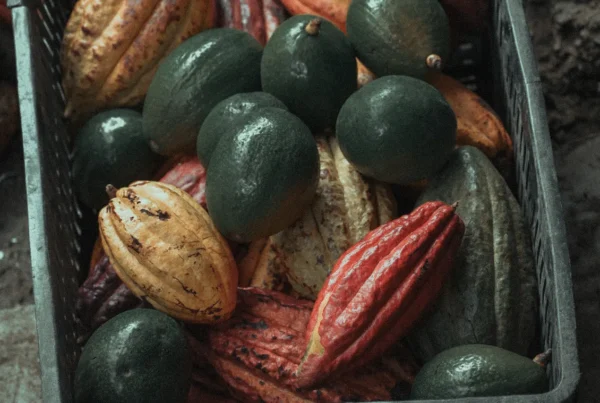 Deep Cacao